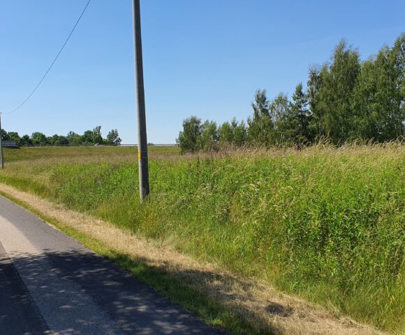 Białobrzegi – działka przy drodze asfaltowej 45 arów z WZ ( sprzed Ustawy )